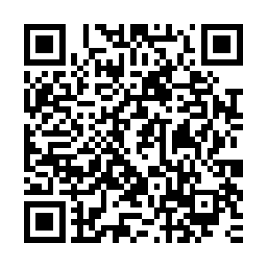 这个残片比之前的时候杨戬得到的两个残片的气息都要强大不少二维码生成