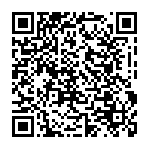 这个混沌果树可绝对是混沌第一灵根啊任何的灵根都绝对没有办法跟他相比二维码生成