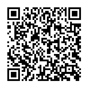 这个用联姻做手段而维系起来的双子帝国保留着一项奇怪的传统――斗剑二维码生成