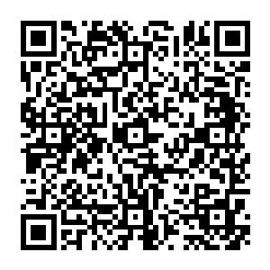 这个由八名机器人和两名人类组成的大家庭终于名正言顺成为了爱多里商业街的一员二维码生成