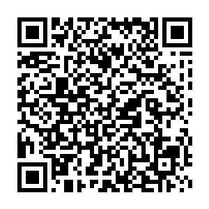 这个组织是当年龙家的第一代家主龙天行建立龙家的时候秘密组建的二维码生成