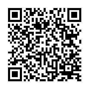 这个血珊瑚和放入保险柜的那个血珊瑚是完全一模一样的二维码生成