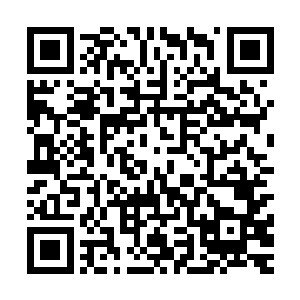 这个贱人和你是一个种族的……血灵族原来是血族的一部分啊二维码生成