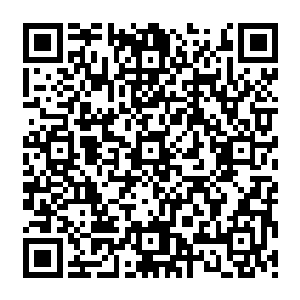 这个金额相对于掌控资产以百亿美金计算的麻生沙树和千叶佳子中的任何一人都不是问题二维码生成