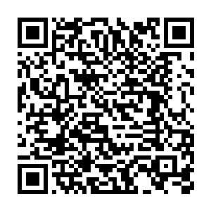 这丫头没事总会在大街上拉住她自己认为漂亮的人问他是不是神仙二维码生成