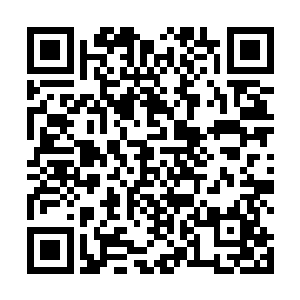 这丹药不正和他从拍卖会上面拍卖到入天丹一模一样吗二维码生成