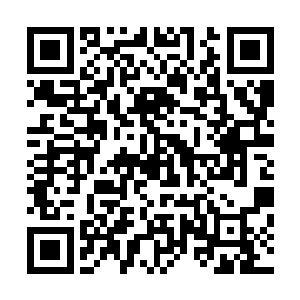 这主要的原因还在于赵纯良和苗二娃都不再出现在学校里了二维码生成