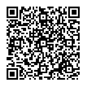 这么可怕的怪胎……而自己竟然打算收这样的家伙做小弟……多亏对方没怎么计较二维码生成