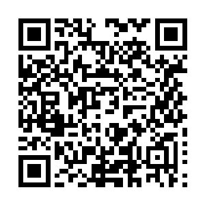 这么多的人族修士涌进双雄仙城一定会被雨族和巨人族调查二维码生成