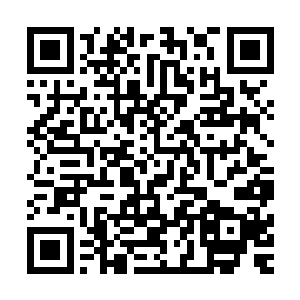 这么漂亮的一张脸蛋在万寿宫假死的时候为什么要故意隐藏呢二维码生成