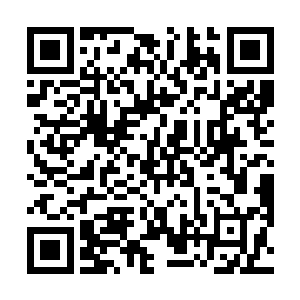 这么长的一段距离可是苏凡在五秒钟就缩短到了二十米二维码生成