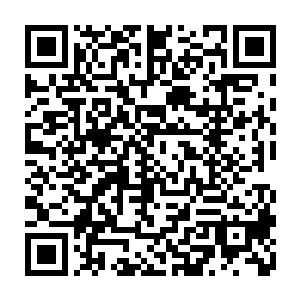 这九位刚刚复活的教皇连一丝反抗的机会都没有便是被这大手给直接覆灭了二维码生成