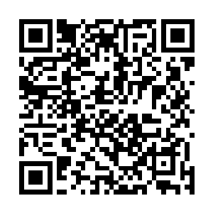 这也从一个侧面说明了巫妖们的终极特征――打死不出门二维码生成