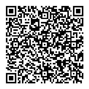 这也使得雨果成为了和娃娃脸比肩的全美最顶尖音乐创作人――今年也正是雨果扼杀了娃娃脸年度非古典制作人三连冠的美梦二维码生成