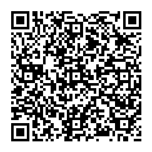 这也使得马沙愿意信任文森特――没有什么人可以比得上一个不够聪明但却又足够忠心的小弟更加可靠了二维码生成