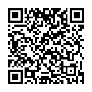 这也只是叶秋敬佩他们这种不怕死和宁折勿弯的心态而已二维码生成
