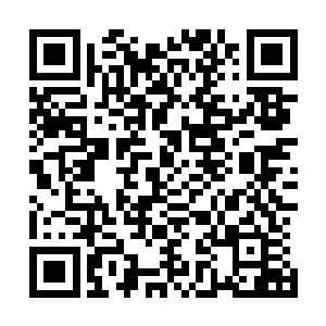 这也就决定他们在娘胎里就会与普通人有一些不一样的地方二维码生成