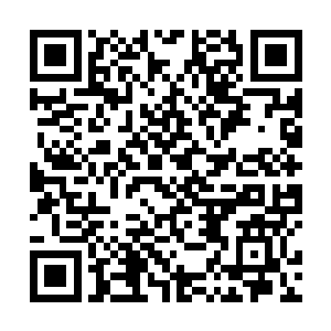 这也就是说……他们在代表赌场的利益和您赌骰宝的话二维码生成