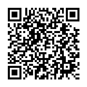 这也是上古凤族不愿意在命陨期武者身上投资凤凰精血的原因二维码生成