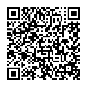 这也是为什么……袁圻率领的武林群豪们一路上连一具官兵的尸体都没发现二维码生成
