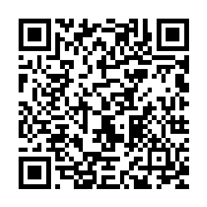 这也是为什么他看着那星罗门的人惨死却不上去全力救助的缘故二维码生成