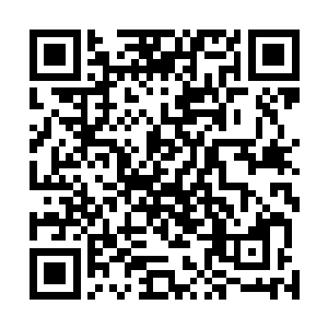 这也是为什么你这一路修炼过程中会有那么多帮助的原因二维码生成