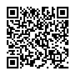 这也是为什么小的散修家族和没落的家族虽然传承不断二维码生成