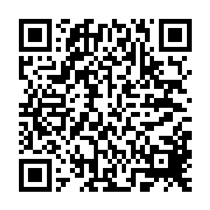 这也是为什么当初大伯娘和二伯娘对奶奶的提议没有反对的缘故二维码生成