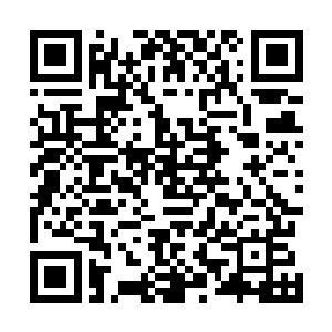 这也是为什么当初的鬼龙门会被我吞血化骨门灭掉的原因二维码生成