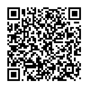 这也是为什么我们平时对战仙兽的时候很难控制住他们的主要原因二维码生成