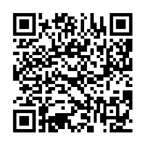 这也是为什么看上去导演似乎比不上演员受欢迎的原因二维码生成