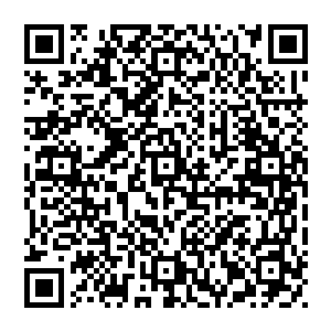 这也是为什么矮人族将星空巨兽养在那个空荡荡的无尽虚空之中的原因……他们弄来了许多星球碎片或是天外陨石二维码生成