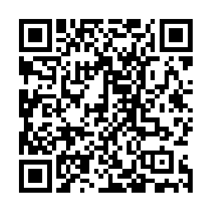 这也是为什么陈诚始终呆在这块草丛里一动不动的最大原因二维码生成