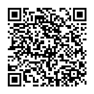 这也是为什么龙无双会在受伤之后化成人形而并非是本体的原因了二维码生成