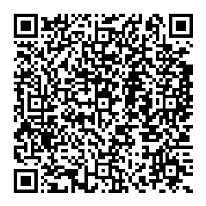 这也是为何他经常保持着人形 而沒有化作僵尸模样的原因 说到底 对于僵尸的身份 他在内心最深处都不曾认可二维码生成