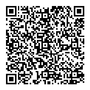 这也是为何如今修真界元婴大能如此少的原因 这等地方 无尽星空中数之不尽 说到底 这里不过是一方弹丸之地罢了 二维码生成