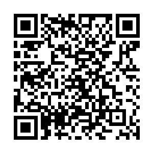 这也是为何无尘真人对他如此忌惮迟迟不敢动手的原因二维码生成