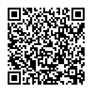 这也是乌神丹为什么会如此凶厉的原因之一……都是乌神兽那无尽怨怼在作祟的二维码生成