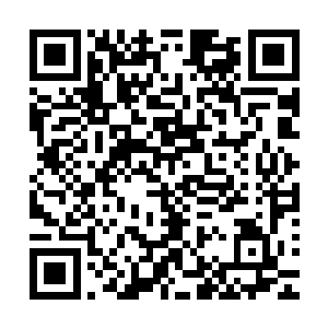 这也是五行特质为何可以在所有特殊体质排名中这么高的原因二维码生成