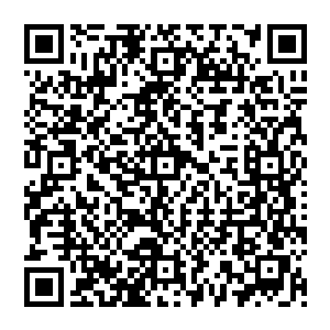 这也是他不能成为唐宁宇的原因……龙翔绝对不会要一个拥有家族意识的人成为新一代的领头人二维码生成