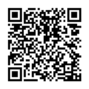 这也是他为什么在这么可怕的折磨下还没想办法自杀的原因二维码生成