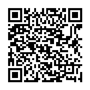 这也是信仰秩序众神的人类会如此推崇它们的缘由二维码生成