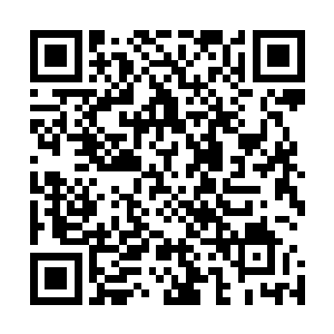 这也是整个反应堆加上压力容器以及主循环系统完整的体积二维码生成
