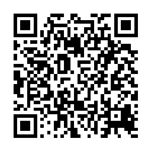 这也是每一次仙农洞府之行都会死去很多修士的一个原因二维码生成