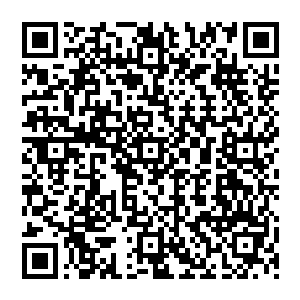 这也是这一次的舆论热潮能够一口气让销售额如此大幅度上涨的原因――因为基础实在太差了二维码生成