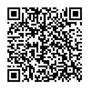 这也是陆为民在无数个电话催促下供电局那帮家伙才算是打起精神搞定的二维码生成