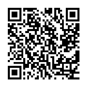 这也算是不错的结果了……万一秦方手上这个就是唯一的一件二维码生成