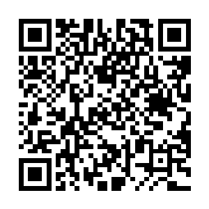 这事模样倒让她不由得想起以前刚认识他时的模样来了二维码生成