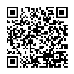 这五行柳叶飞刀却是张潇晗重新用五行灵火祭炼过的了二维码生成