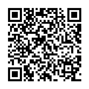 这些东西之前不是已经告诉过你们要放置在什么位置了么二维码生成